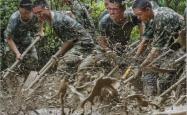 姆巴佩重伤倒地，武磊全队围拢祈祷，场面感人的简单介绍